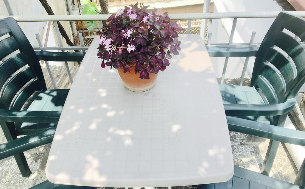 Guest House Zatika Tbilisi Ngoại thất bức ảnh